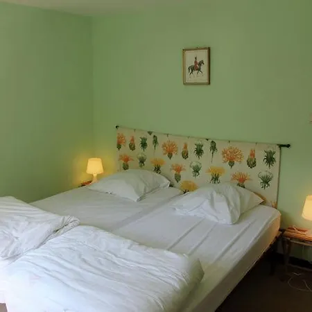 Cozy Near Forest In *